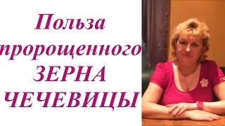 О пользе пророщенных зернах ЧЕЧЕВИЦЫ.Пророщенное зерно для здоровья. Домашний Очаг с Мариной