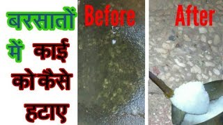 HOW TO CLEAN FLOOR GREEN ALGAE I || BEST METHOD TO CLEAN ALGI IN HINDI