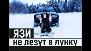 Первый Лёд для Дастера. Язь найден. Удочки ломает и ворует. Новый год.