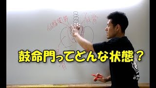 【身体操作】鼓命門できてる時の仙骨上の筋肉の緩み（＃152）