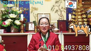 (평택 자비원 벼락대신) (유명한 점집) 기해년 범띠 11월 12월 운세 이야기