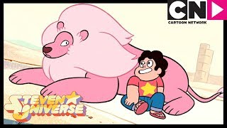 Steven Universe | Steven Finds Lion In The Desert | Steven's Lion | Cartoon Network