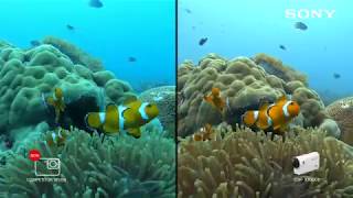 Sony’s FDR-X3000R 4K Action Cam vs Competitor Seven