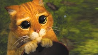 Les Chats au cinéma - Blow up - ARTE