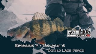 PERCH & WALLEYE COMBO - S.4 Ep.7 (Devils Lake, ND)