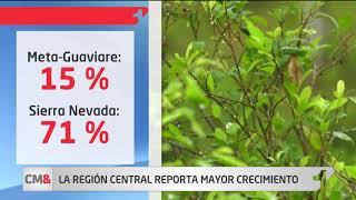 Cultivos de hoja de coca crecieron un 17 % en Colombia: ONU