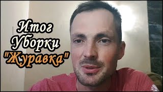 ИТОГ УБОРКИ ПШЕНИЦА "ЖУРАВКА"! 2019г.