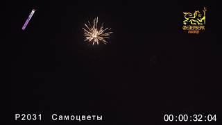 Р2031(Самоцветы)(1,2"х8 зарядов)