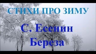 Стихотворения про зиму и Новый год. Есенин Зимний Береза