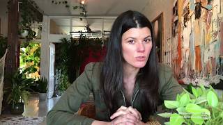 Troubleshooting Wilted, Molded, & Yellow Succulents — Plant One On Me — Ep 019