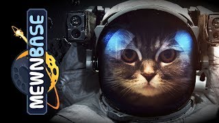 01 - MewnBase