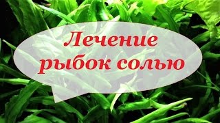Лечение аквариумных рыбок солью