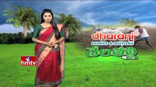 Apple Ber Cultivation | Leaf vegetables Cultivation | Nela Talli | 02-03-16 | HMTV