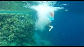 Баракуды Reef Oasis Blue Bay Resort & Spa  Подводный обзор 2019 WOW Обалденный риф и крутой отдых)