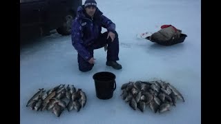 ПРИЕХАЛИ НА ЖЕРЛИЦЫ, а НАЛОВИЛИ ОКУНЯ на ЧЕРВЯ. зимняя рыбалка. FISHING. ice fishing.