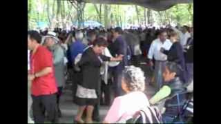 DANZÓN: "SALVAJE" (INTERNACIONAL DANZONERA DE JOSÉ CASQUERA)