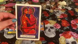 Gemini February Love Forecast: Wishes fulfilled!