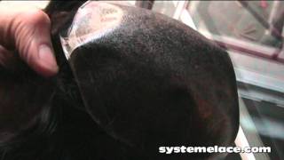 Système Lace : Complément capillaire micro-peau