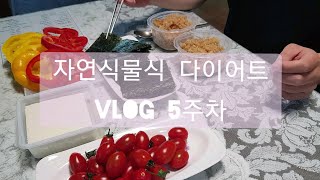 [자연식물식 다이어트] 5주차 vlog/간헐적 단식/과일식/눈바디/자연식물식 다이어트/라이딩/턱걸이 증가