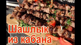 Шашлык из кабанятины (шашлык из кабана), рецепт как приготовить шашлык из мяса дикого кабана