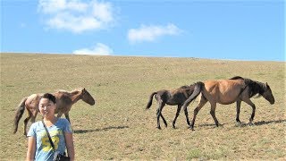 Монгол дуу  Улаанбаатар - 5 -  яагаад өвдөн шаналж буй УБ  хэн ч тоонгүй ?
