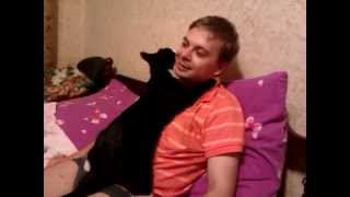 Кот Мотя обнимает хозяина
