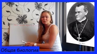 Урок биологии №20. Грегор Мендель и его Первый закон.