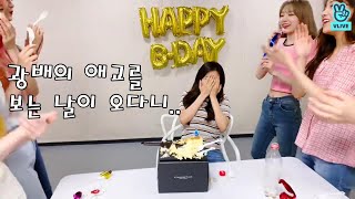 아이즈원 데뷔 1일차와 현재 (1편-광배,은비,민주,채원)
