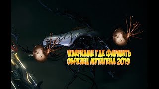 Warframe Где фармить образец мутагена 2019