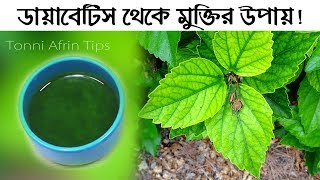 ডায়াবেটিস থেকে মুক্তি লাভের কার্যকরি উপায় ! কিভাবে ডায়াবেটিস থেকে মুক্তি পাবেন। Tonni Afrin Tips