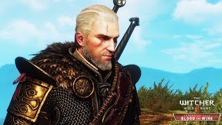 The Witcher 3 Wild Hunt  | ALL Armor  Costumes