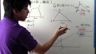【小６　算数】　　小６－１９　　拡大図・縮図