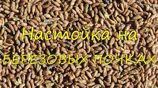 Настойка на березовых почках. Рецепт.