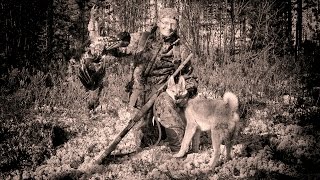 Охота на глухаря с лайкой, ТАЕЖНОЕ СЧАСТЬЕ 9