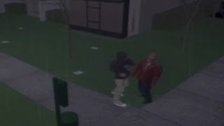 See simulation of Zimmerman-Martin fight