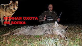 Ночная охота на волка. Запись попаданий на Pulsar Trail XP50