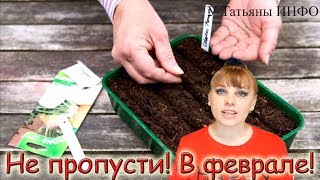 Посей ЭТО ОБЯЗАТЕЛЬНО в начале февраля !!!
