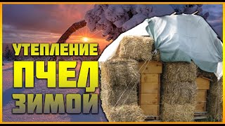 Три способа Утепления пчел зимой. А Вы ЭТО ЗНАЛИ? Так  они противоречат друг другу?Зимовка пчел .
