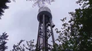 Коп в Рощино, Ленинградская область
