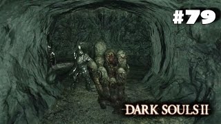 Dark Souls 2 Прохождение - 79 серия [Варг, Церах и Скорбящая разорительница гробниц]