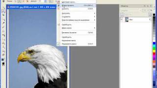 Уроки Corel PHOTO-PAINT: создание растровой маски