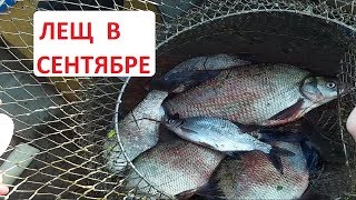 Ловля леща в сентябре. Рыбалка на леща с лодки.