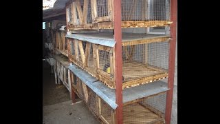 Клетка для кроликов своими руками!!! Часть 4-я!!! Финальная сборка!!!Rabbit-hutch.
