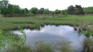 Natuur in Drenthe