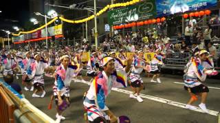 阿波踊り　蜂須賀連　紺屋町演舞場にて2014