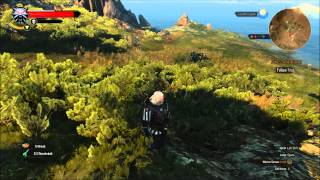 The Witcher 3 - Relic Steel and Silver Sword Locations - Awesome Weapons, Easy to Get