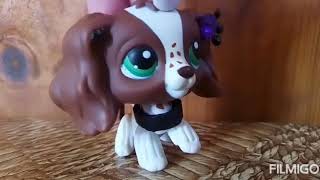 LPS Сериал :~?♟Наследница♟?~ 1 сезон 1 серия (чит .опс).