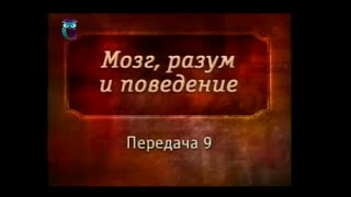 Мозг, разум и поведение. Передача 9. Неисправная работа мозга