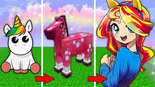 ? КАК МЕНЯЛАСЬ ДЕВУШКА РАДУЖНОЕ ПОНИ И ЕЁ ЖИЗНЕННЫЙ ЦИКЛ МАЙНКРАФТ!