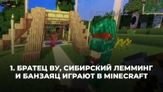 1. Братец Ву, Сибирский Лемминг и Банзаяц играют в Minecraft